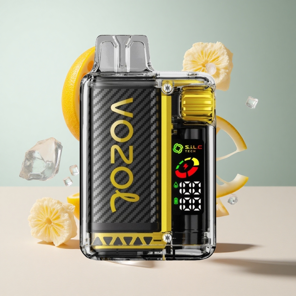 Manga Gelo VOZOL Vista 20000 Puffs Bateria Recarregável 650mAh Resistência Dual Mesh