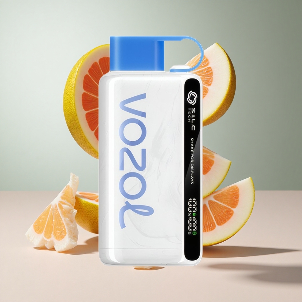 Menta Gelada VOZOL STAR 9000 Puffs Recarregamento 30 mais rápido 650mAh