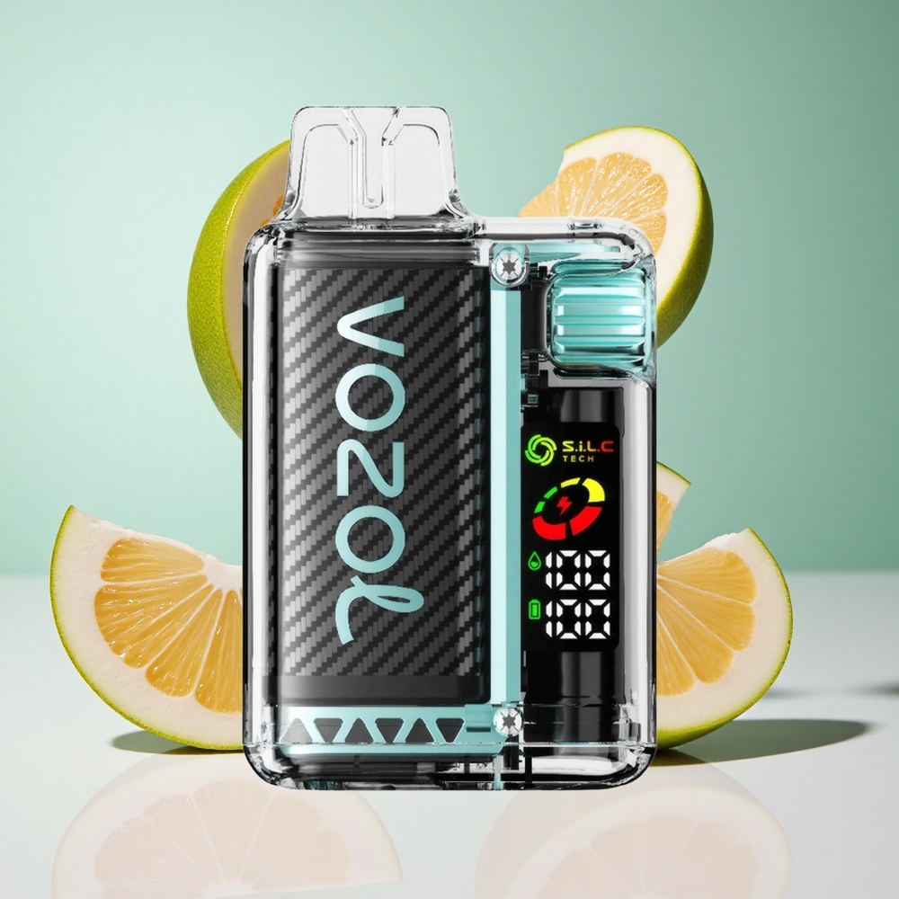 Menta Miami VOZOL Vista 20000 Puffs Bateria Recarregável 650mAh Resistência de Nicotina 2