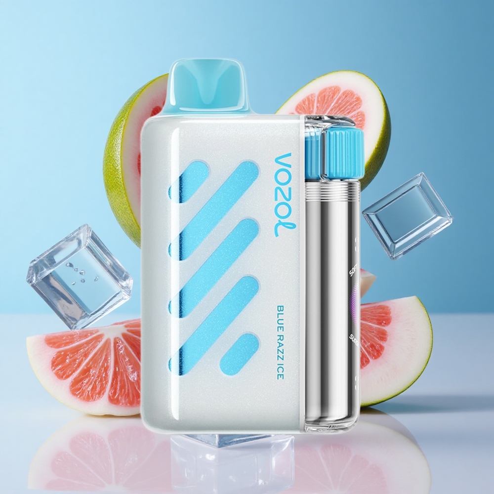 Mirtilo Framboesa Gelado VOZOL VISTA 40000 Puffs Recarregável Tela