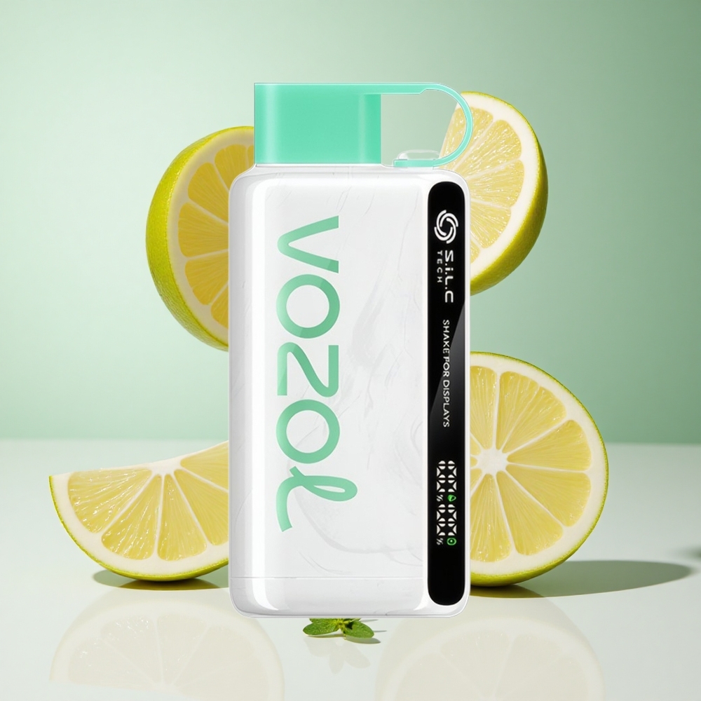 Limão Hortelã VOZOL STAR 9000/12000 Vape Descartável 650mAh Capacidade da Bateria Carga 30 mais rápida