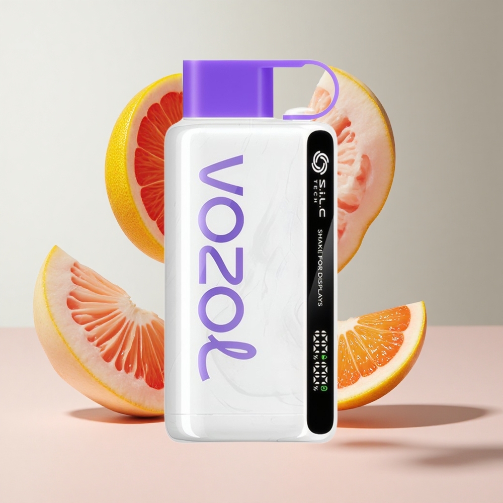 Manga Toranja Cranberry VOZOL STAR 9000/12000 Vape Descartável 650mAh Até 9000/1200 Puffs Carga 30 mais rápida